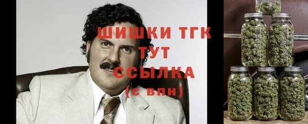 ПСИЛОЦИБИНОВЫЕ ГРИБЫ Горно-Алтайск