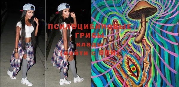крисы Горняк