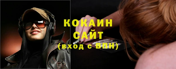 ПСИЛОЦИБИНОВЫЕ ГРИБЫ Горнозаводск