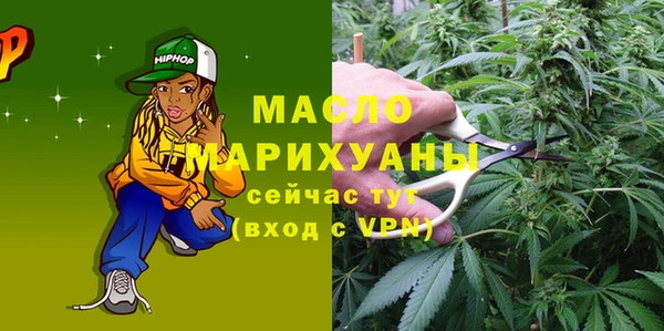 крисы Горняк