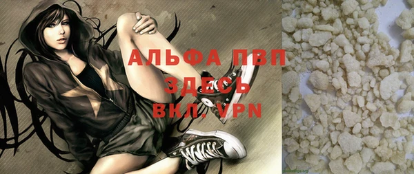 крисы Горняк