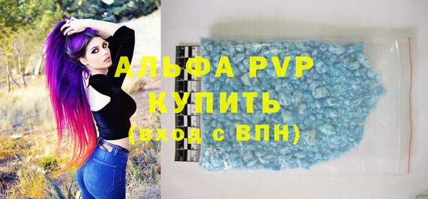 PSILOCYBIN Волосово