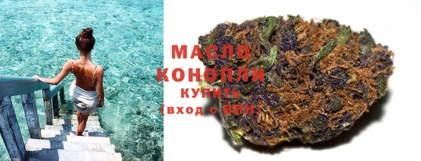 крисы Горняк