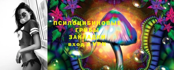 ПСИЛОЦИБИНОВЫЕ ГРИБЫ Горнозаводск