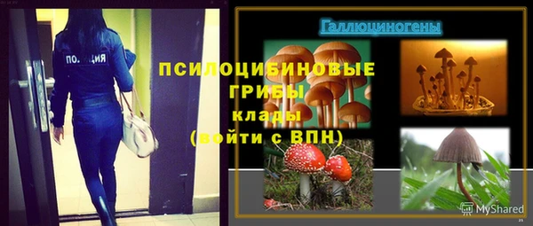 ПСИЛОЦИБИНОВЫЕ ГРИБЫ Горнозаводск